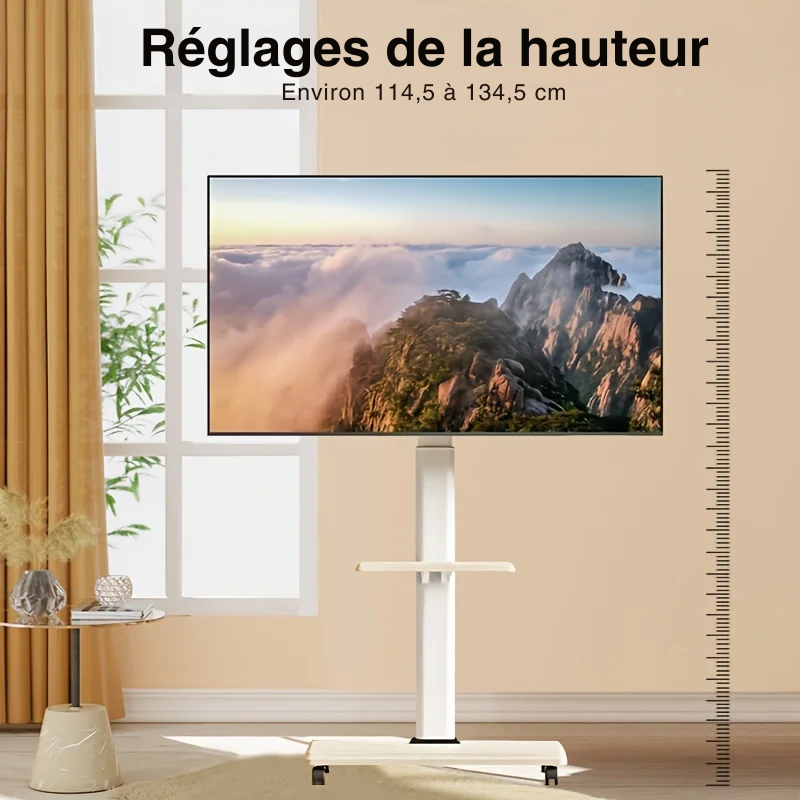 Support TV roulettes design